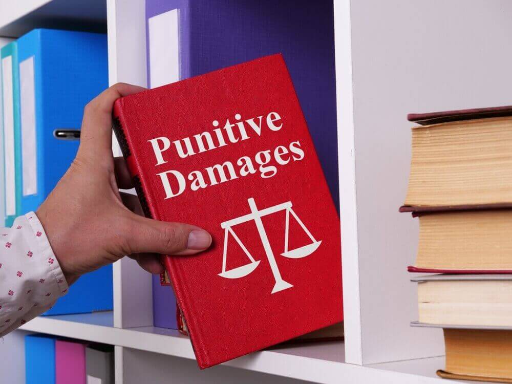 Lawyer getting the book of punitive damages.